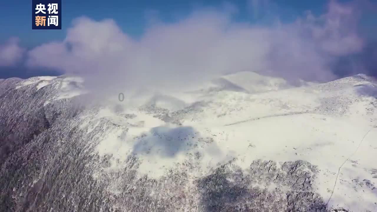 异度之刃2