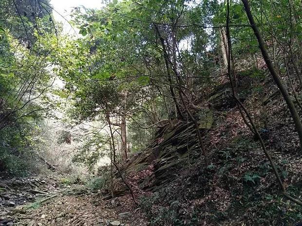 小宝贝仪仗队