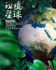 在网上看到一首卡特琳娜的歌曲求名字游戏画面