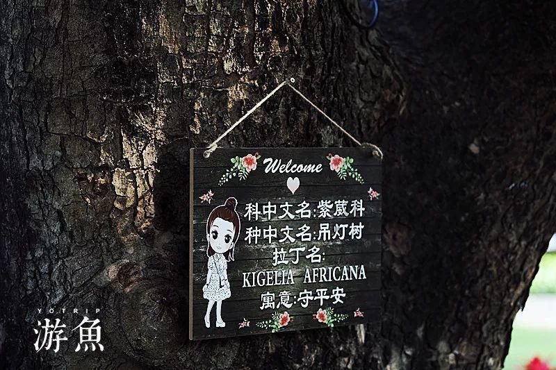 最美的校园女生71