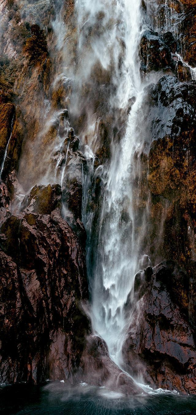 春雨直播app