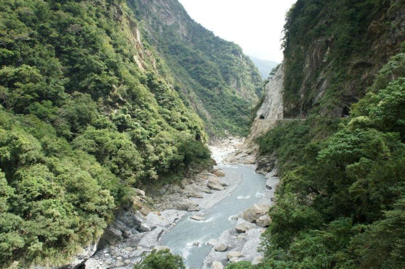 组装机械章鱼龙