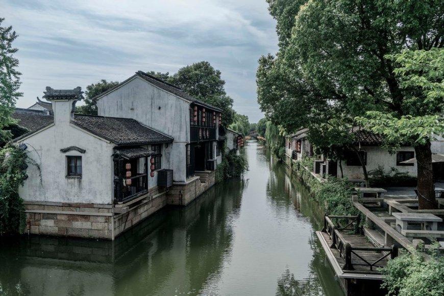 探秘甘蔗是深根系还是浅根系作物?,知识星球平台首选!
