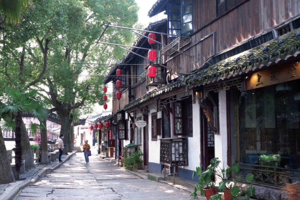 拯救蓝色小鸟