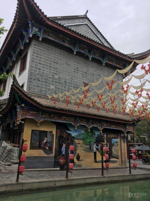 五彩鹦鹉救援